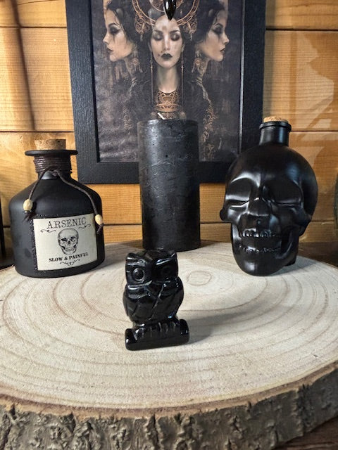 Chouette Obsidienne